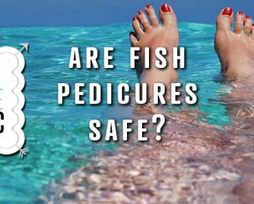 Are Fish Pedicures Safe